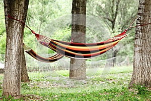 Camping hammocks within the campsite photo