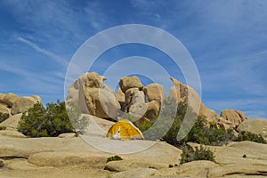 Camping in Joshua Tree National Park