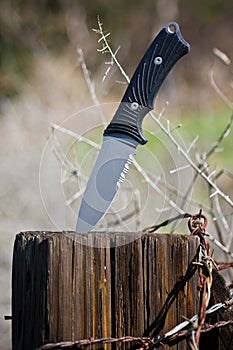 Camping Knife