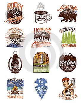 Camping logo and labels. Mountains and brown bear. Trip in the forest, outdoor and adventure. Colored badges on the