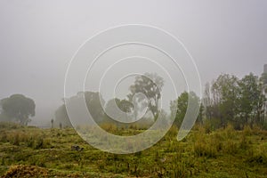 Camping in the nature waking up into a misty sunrise