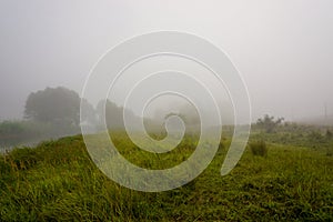 Camping in the nature waking up into a misty sunrise