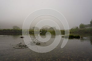 Camping in the nature waking up into a misty sunrise