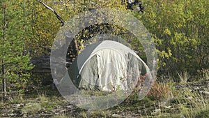 Camping outdoor with tent in woods in summer.