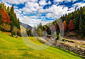 Camping place meadow near forest in mountains