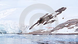 Camping in red tents on snow covered slope of Neko Harbour, Arctowski Peninsula, Antarctica