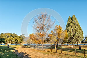 Camping sites next to the dam at Vrede