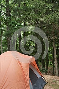 Camping Tent Against Woods