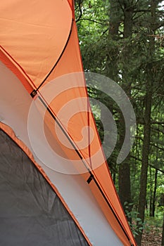 Camping Tent Against Woods