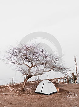 Camping Tent Below a Tree