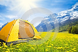 Camping tent in