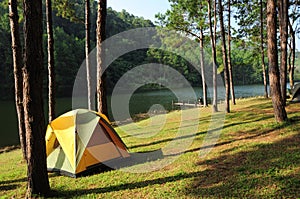 Camping tent in forest by the river