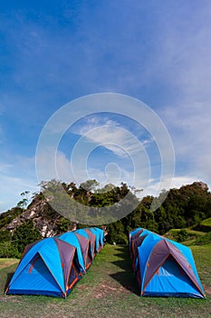 Camping tent on green grass field under clear sky