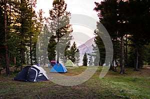 Camping tent on green grass beside lake with foggy