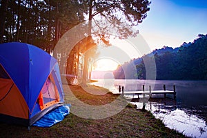 Camping tent in pang ung maehong sorn most popular winter travel photo