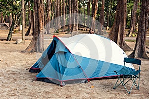 Camping Tent and Resting Chair at Campsite on Nature Pine Forest Background, Family Vacation and Outdoor Leisure Activity Camp