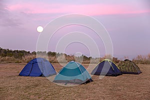 Camping, Tent, Summer, Shade, Lake