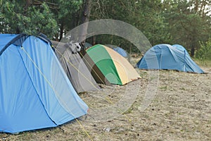 Camping and tent under the pine forest