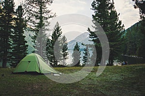 Camping and tent under the pine forest