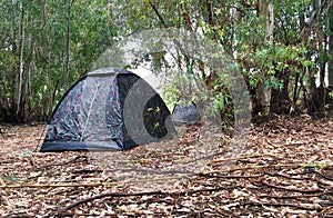 Camping tent in the woods