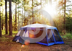 Camping Tent in Woods at Sunrise