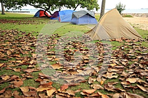 Camping Tents
