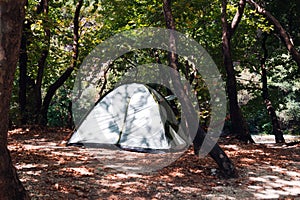 Camping Tents at Campground in Woods