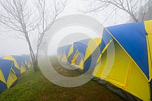 Camping tents in the fog at mountain