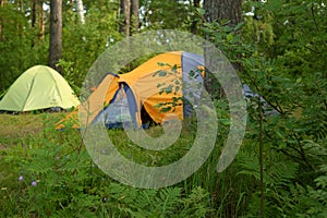 Camping tents in forest