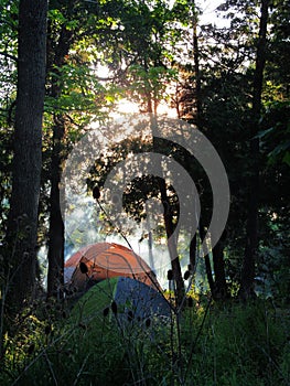 Camping in tents in the forest early morning sunrise outdoor adventure