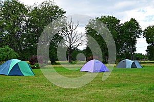 Camping tents on meadow