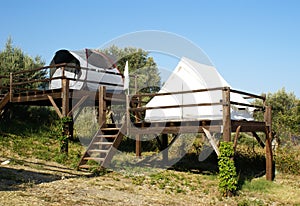 Camping tents on stilts