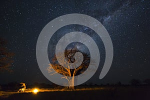 Camping under baobab`s and milkyway photo