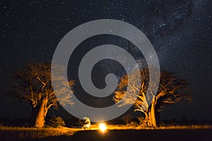 Camping under the milky way between baobab`s