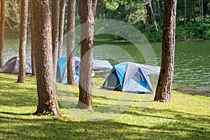 Camping under the pine forest, blue tent near lake at Pang Oung, Mae Hong Son, Thailand. travel, trip and vacation concept