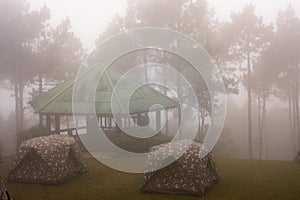 Camping under the sea mist