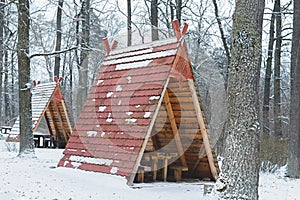 Camping in the winter forest