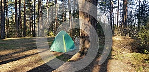 Camping in the woods. Vacation. Bike ride in the forest.Ecotourism as a way of life. Wildlife.