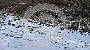 Campitello Matese - Panoramica del tratto intermedio della pista Del Caprio