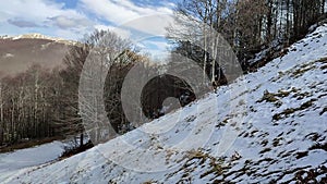 Campitello Matese - Scorcio del tratto finale della pista Del Caprio