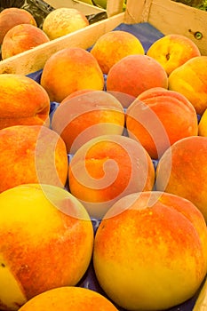 Campo Dei Fiory Market Peaches- Rome#8 photo