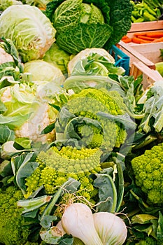 Campo Dei Fiory Market - Rome#7 photo