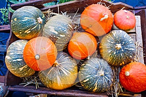 Campo Dei Fiory Market - Rome#6 photo