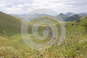 Campo Imperatore