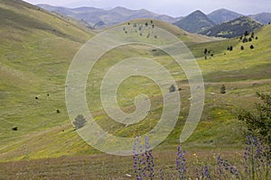 Campo Imperatore