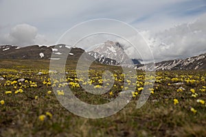 Campo Imperatore