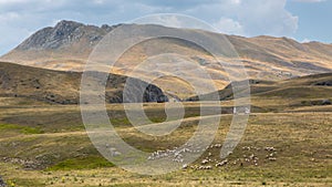 Campo Imperatore wilderness, Abruzzo, Italy