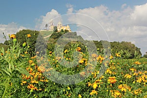 Campos de flor de cempasÃÂºchil entre montaÃÂ±as photo