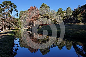 Campos do Jordao photo