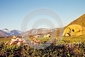 Campsite at Alftavatn, Iceland